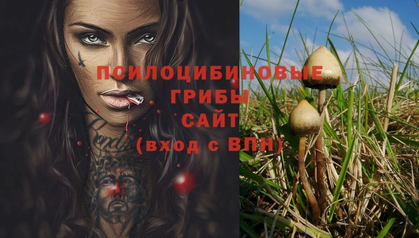 синтетический гашиш Абинск