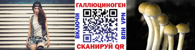 Галлюциногенные грибы Psilocybe Нахабино