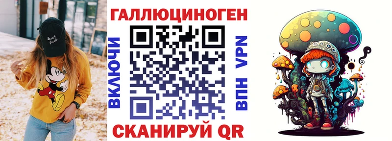 где найти наркотики  Нахабино  Псилоцибиновые грибы мицелий 